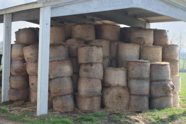 stock image hay rolls stacked and covered