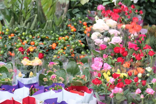 variety of colorful flowers for sale local market