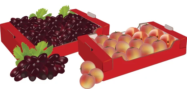 装有葡萄和桃子的纸板箱 — 图库矢量图片