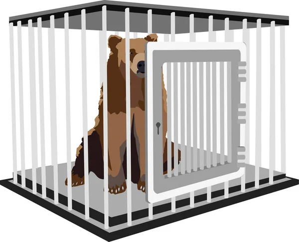 Ours Brun Sauvage Cage — Image vectorielle