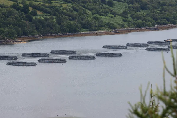 stock image salmon fish farm in Scotland