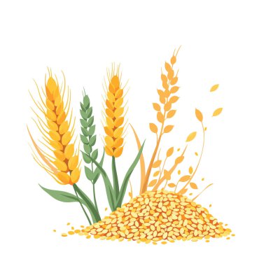 Tohum yığınından çıkan tahıl ve çekirdekli buğday sapları büyüme ve bolluk kavramını ortaya koyuyor.