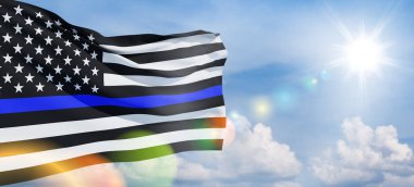 Mavi gökyüzünde üzerinde polis sembolü olan Amerikan bayrağı. Toplumdaki Amerikan polisi kaosu engelleyen, düzen ve medeniyetin gelişmesini sağlayan güçtür. Pankart.