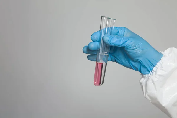 Laboratory Worker Holding Test Tubes Substance Samples Analysis Gray Background — Stock Photo, Image
