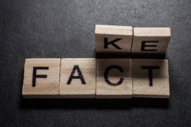 Wooden blocks forming words Fact and Fake on black background.