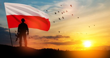 Silhouette of soldier with national flag on background of sunset. Polish Armed Forces. Armed Forces of the Republic of Poland. Polish army.