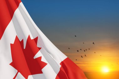 Canada national flag waving on sunset sky with flying birds. Canada day. 3d-rendering.