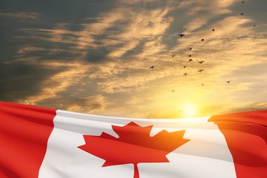 Canada national flag waving on sunset sky with flying birds. Canada day. 3d-rendering.
