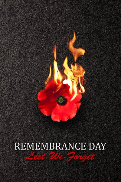 The remembrance poppy - poppy appeal. Poppy flower on fire on black background. Decorative flower for Remembrance Day, Memorial Day, Anzac Day in New Zealand, Australia, Canada and Great Britain.