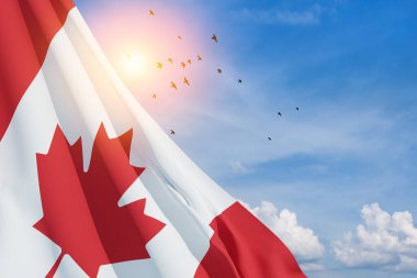 Canada national flag waving on blue sky with flying birds. Canada day. 3d-rendering.