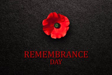 The remembrance poppy - poppy appeal. Poppy flower on black textured background. Decorative flower for Remembrance Day, Memorial Day, Anzac Day in New Zealand, Australia, Canada and Great Britain.