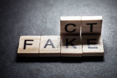 Wooden blocks forming words Fact and Fake on black background.