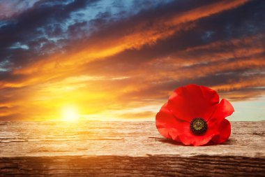 Poppy pin for Remembrance Day. Poppy flower on old beautiful high grain, detailed wood on background of sunset sky.