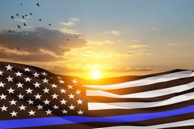 Polis destekli Amerikan bayrağı. Günbatımı gökyüzünde kuşlarla ince mavi çizgi. Toplumdaki polis kaosu engelleyen, düzen ve medeniyetin gelişmesini sağlayan bir güç. 3d oluşturma.