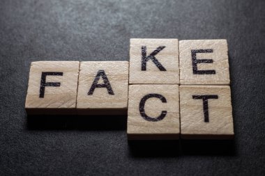 Wooden blocks forming words Fact and Fake on black background.