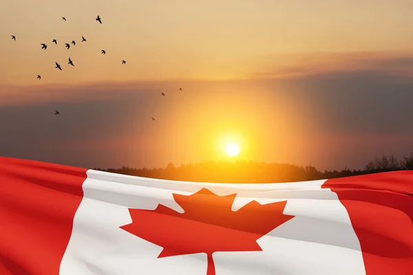 Bandera Nacional Canadá Ondeando Cielo Del Atardecer Con Aves Voladoras — Foto de Stock