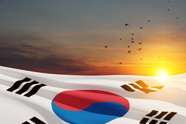Ondeando Bandera Corea Del Sur Cielo Atardecer Con Aves Voladoras — Foto de Stock
