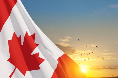 Canada national flag waving on sunset sky with flying birds. Canada day. 3d-rendering.