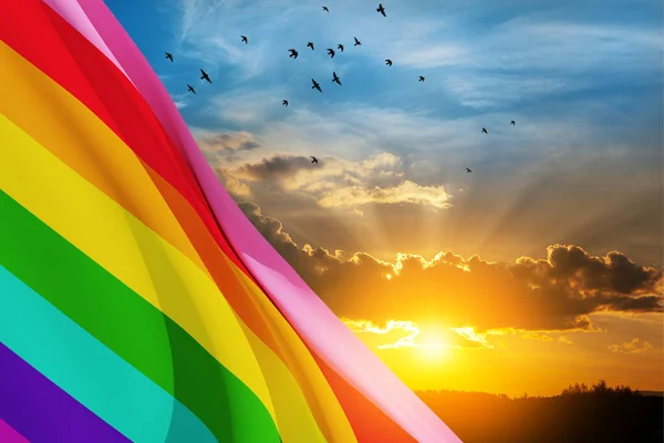 Acenando Bandeira Orgulho Lgbt Céu Por Sol Com Aves Voadoras — Fotografia de Stock
