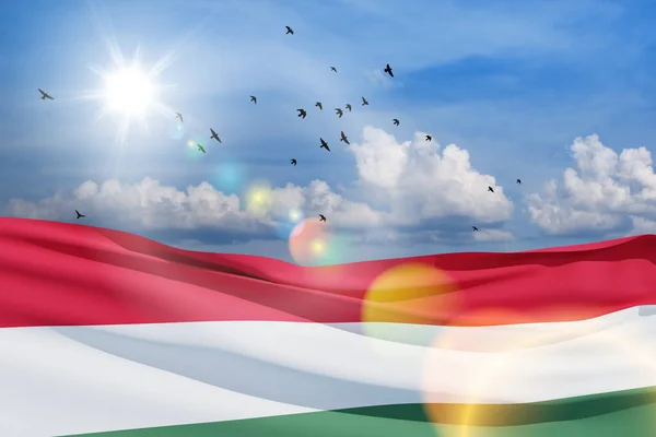 Waving Flag Hungary Blue Sky Flying Birds Independence Day National — Zdjęcie stockowe