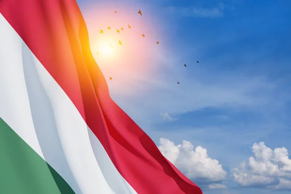 Fahne Von Ungarn Blauen Himmel Mit Fliegenden Vögeln Unabhängigkeitstag Nationaltag — Stockfoto