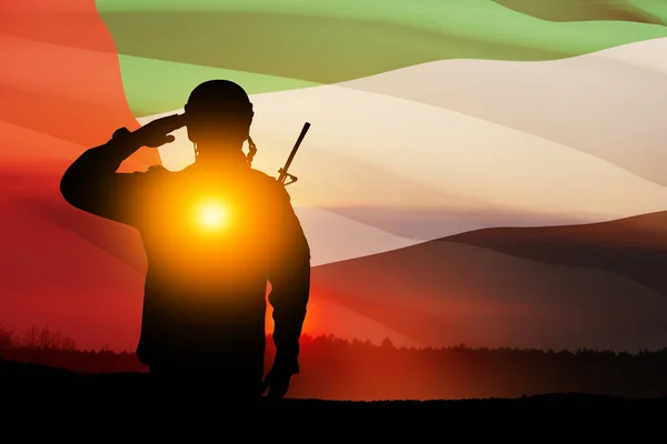 Σιλουέτα Του Στρατιώτη Χαιρετισμό Στο Παρασκήνιο Της Σημαίας Των Ηαε — Φωτογραφία Αρχείου