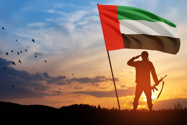 Silhouette Soldat Saluant Avec Drapeau Des Émirats Arabes Unis Contre — Photo