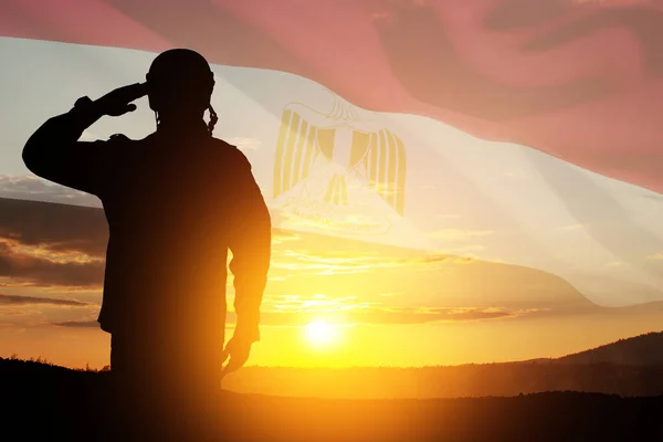 Bir Askerin Siluetini Gün Batımını Mısır Bayrağına Karşı Güneşin Doğuşunu — Stok fotoğraf