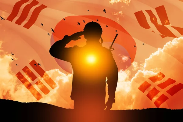 日の出や日没や韓国のフラグに対する兵士の敬礼のシルエット 韓国の武装勢力 記念の日 解放の日の挨拶カード 韓国のお祝い 3Dレンダリング — ストック写真
