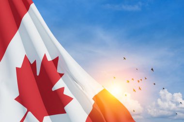 Canada national flag waving on blue sky with flying birds. Canada day. 3d-rendering.