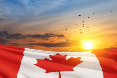 Canada national flag waving on sunset sky with flying birds. Canada day. 3d-rendering.