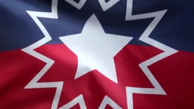 Ortasında sembol olan Haziran Bayrağı 'nı sallıyor. 1865 'ten beri. Juneteenth bayrağı hareket halinde. Siyahi tarihi ayı.