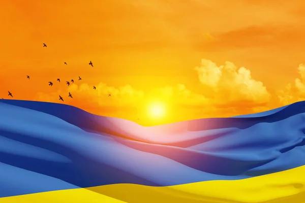 Bandera Ucrania Cielo Naranja Con Sol Las Aves Voladoras Cierre — Foto de Stock