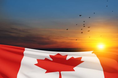 Canada national flag waving on sunset sky with flying birds. Canada day. 3d-rendering.