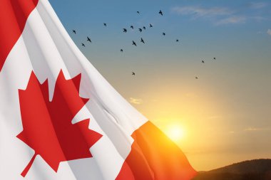 Canada national flag waving on sunset sky with flying birds. Canada day. 3d-rendering.