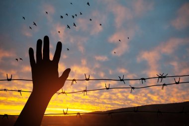 Holocaust Remembrance Day. January 27. silhouette of hand with barbed wire on background of sunset with flying birds. Poster or banner design.