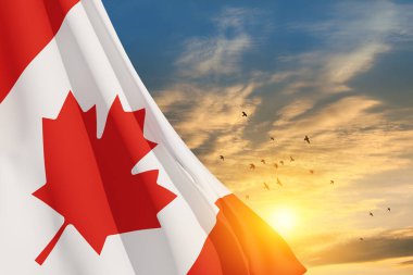 Canada national flag waving on sunset sky with flying birds. Canada day. 3d-rendering.