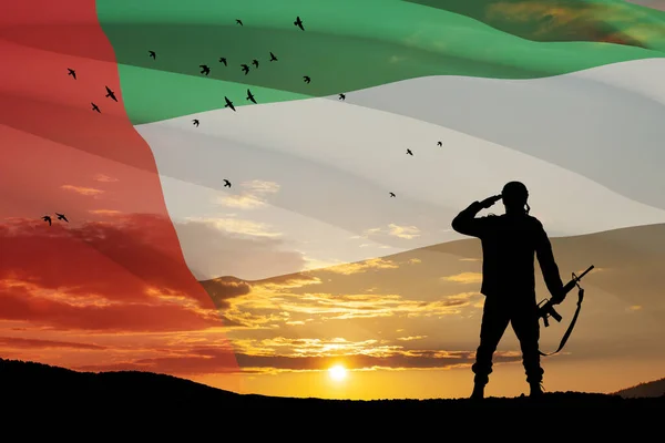 Sylwetka Żołnierza Salutującego Tle Flagi Zea Zachodu Lub Wschodu Słońca — Zdjęcie stockowe