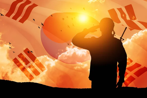 Silueta Vojáka Salutujícího Proti Východu Nebo Západu Slunce Jihokorejské Vlajce — Stock fotografie