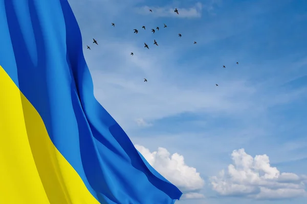 Прапор України Блакитному Небі Птахом Закрийте Махаючи Прапором України Місцем — стокове фото