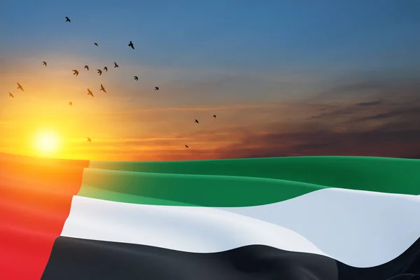 Flag United Arab Emirates Background Sunset Sky Flying Birds Uae — Stock Photo, Image