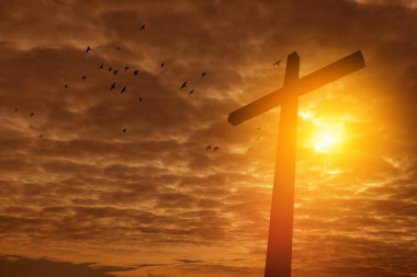 Gün doğumunda uçan kuşlarla Hıristiyan haçı. İsa 'nın dirilişi. Konsept fotoğraf.