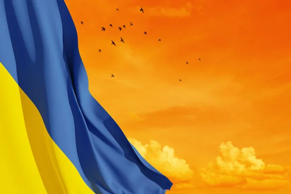 Bandera Ucrania Cielo Naranja Con Pájaro Cierre Ondeando Bandera Ucrania — Foto de Stock