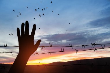 Holocaust Remembrance Day. January 27. silhouette of hand with barbed wire on background of sunset with flying birds. Poster or banner design.