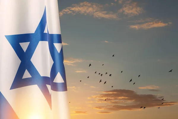日没の鳥と曇りの空の背景にデビッドの星とイスラエルのフラグ 国家のシンボルを持つイスラエルについての愛国的な概念 テキストのための場所とバナー — ストック写真
