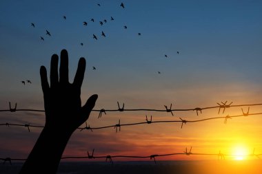 Holocaust Remembrance Day. January 27. silhouette of hand with barbed wire on background of sunset with flying birds. Poster or banner design.
