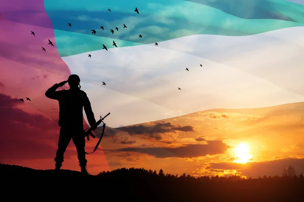 Silhouette Soldier Saluting Background Uae Flag Sunset Sunrise Concept National — стоковое фото