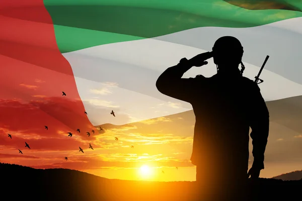 Sylwetka Żołnierza Salutującego Tle Flagi Zea Zachodu Lub Wschodu Słońca — Zdjęcie stockowe