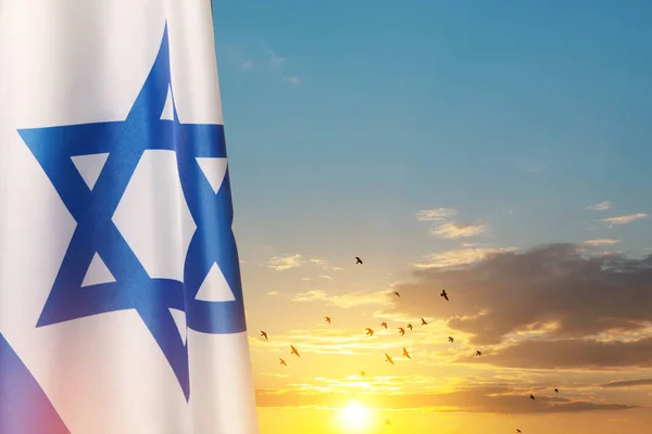 Flaga Izraela Gwiazdą Dawida Nad Zachmurzonym Tle Nieba Latającymi Ptakami — Zdjęcie stockowe