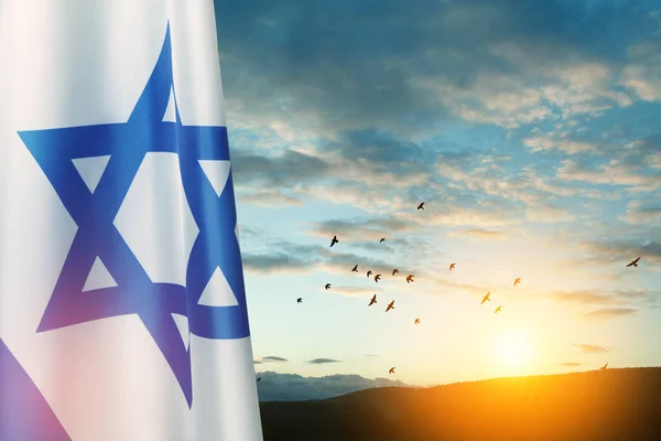 日没の鳥と曇りの空の背景にデビッドの星とイスラエルのフラグ 国家のシンボルを持つイスラエルについての愛国的な概念 テキストのための場所とバナー — ストック写真